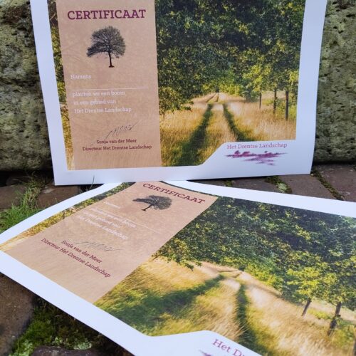 Koop een boom (groot)