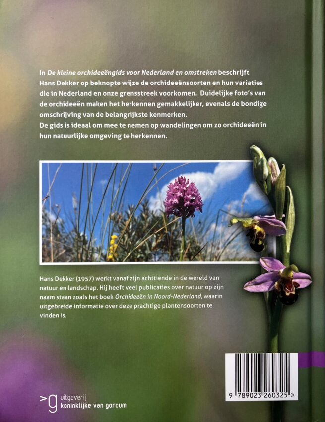 Kleine orchideeëngids voor Nederland en omstreken - Afbeelding 2